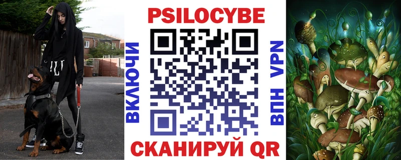 наркота  MEGA ONION  Псилоцибиновые грибы Psilocybine cubensis  darknet клад  Альметьевск 